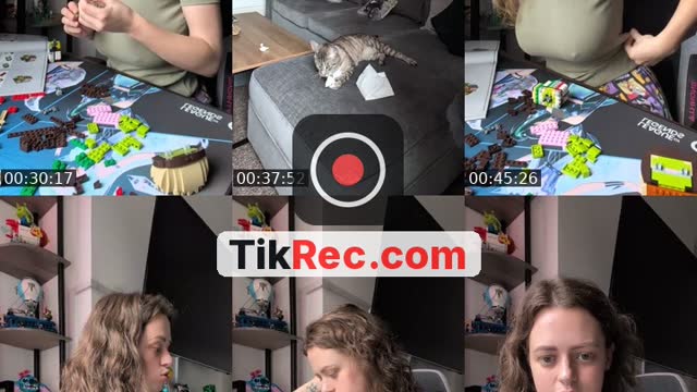 TikTok live: Shrek LEGO build! by @notnorthernfoxx