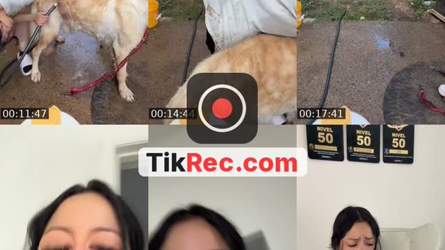 @liisbeeth6 TikTok live from 2026-09-01