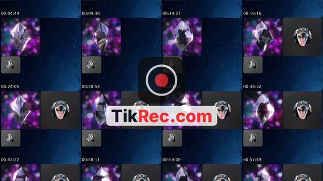 @dr_neebz TikTok live from 2026-09-02
