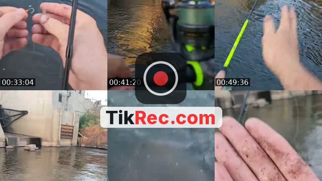 @hookedsocietyfish United States TikTok live from 2026-09-02
