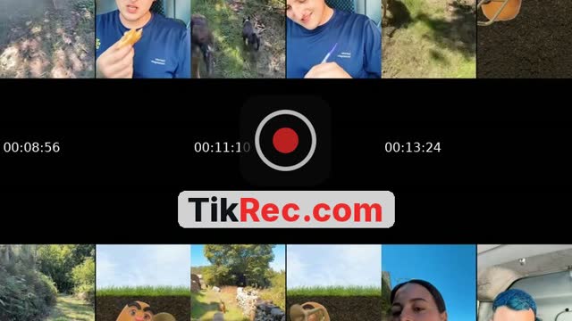 TikTok live: Iluminamos galería? by @criisthiinaa