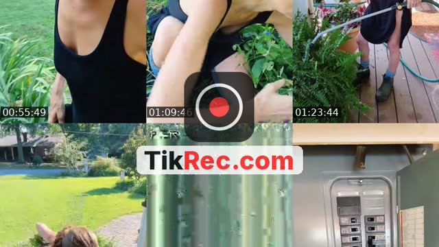 @bsgardening TikTok live from 2026-09-02