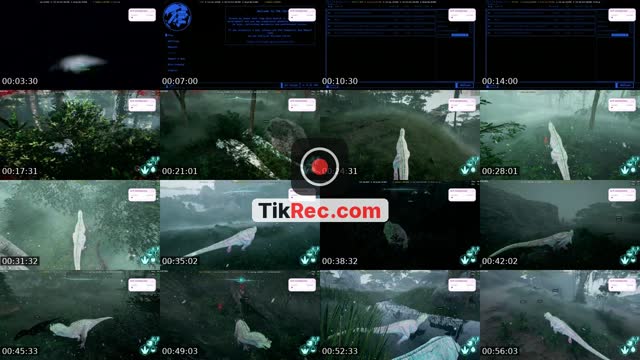 TikTok live: cham chi by @shxgsin