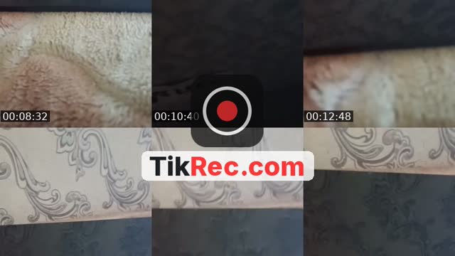 @push_formant TikTok live