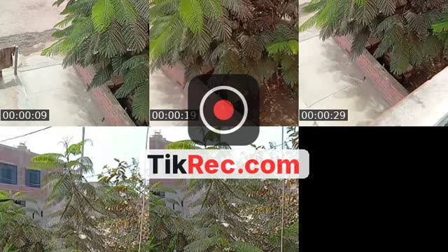 TikTok live: Buenos días mis bebés 😘 by @jennilop33