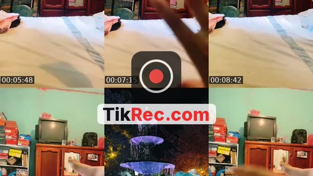 TikTok live: Estoy de regreso by @paletita_decolores