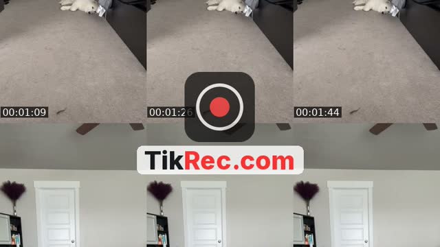 @ava_art8_ TikTok live