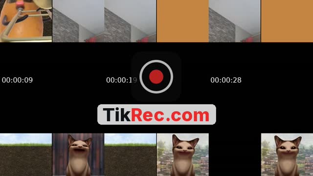 @elcompadre065 TikTok live