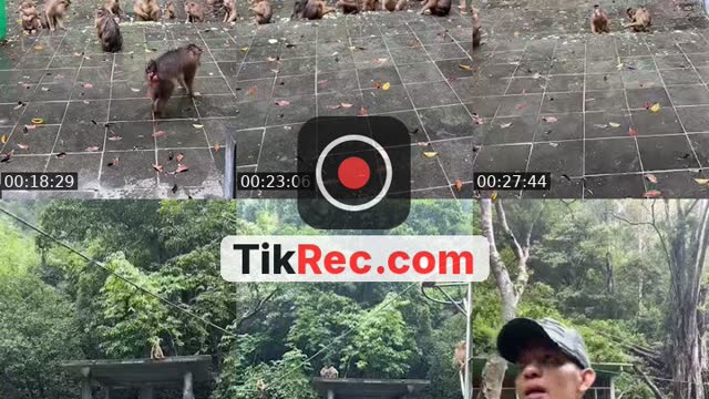 @detimmanik8 TikTok live from 2026-09-03