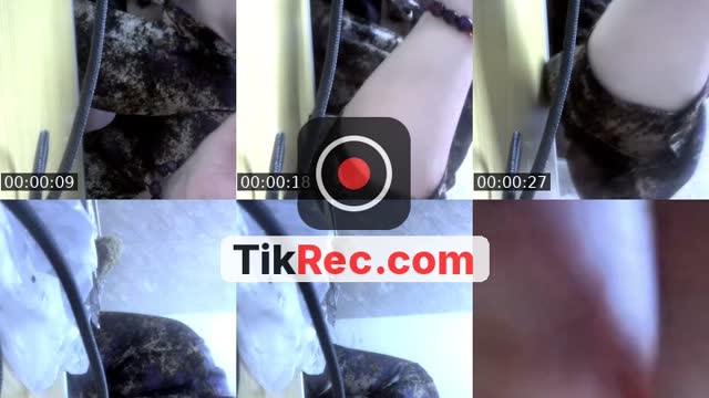 @mrol1549 TikTok live