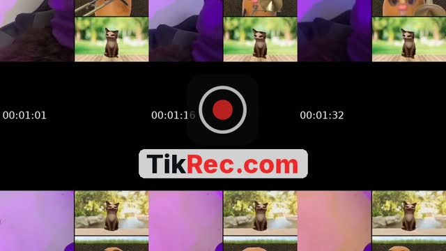 @i1m441 TikTok live