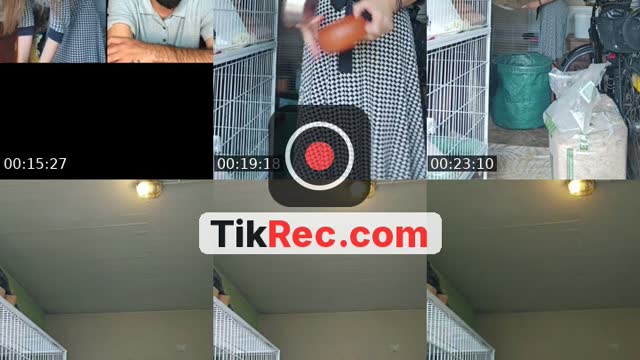 @yuecel.elisabeth TikTok live from 2026-09-03