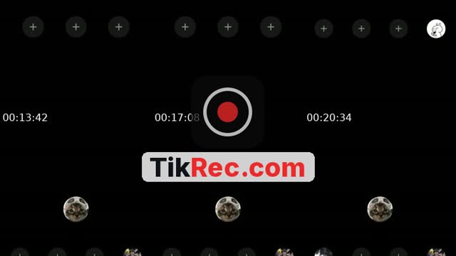 TikTok live: hays by @vivivi_0_