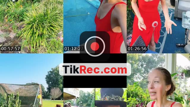 United States TikTok live: Flower Gardening by @bsgardening