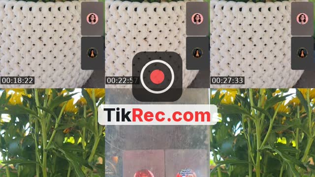 @schmittiii TikTok live