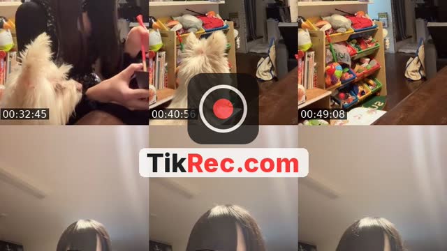 TikTok live: はなそう by @ywjmtj