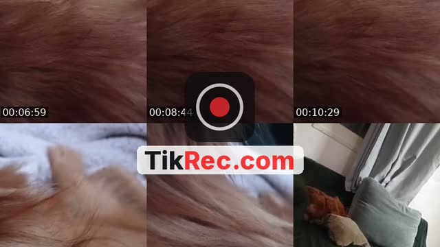 @anabala07 TikTok live