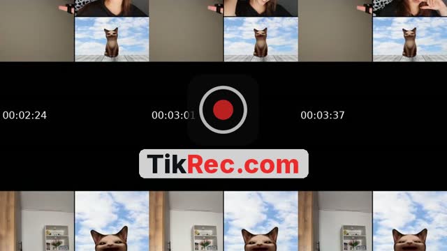 @michael.gato7 TikTok live