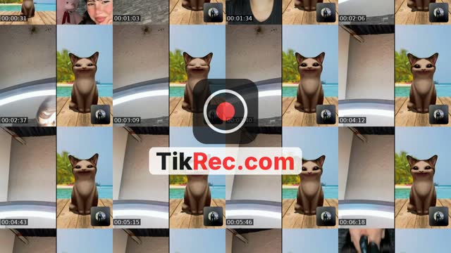 @andrervupe8 TikTok live