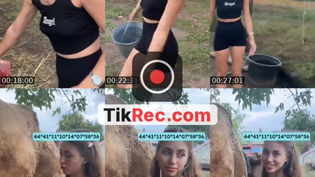 @babakica0 TikTok live