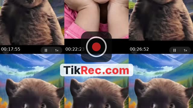 @garinpetrosyan TikTok live
