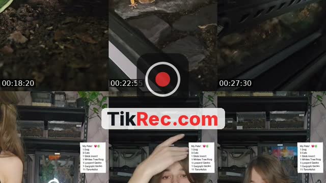 TikTok live: WARNING EXOTIC PETS-(I'm 19) by @skys.animal.zoo