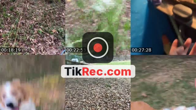 TikTok live: Come have fun with rockyroad by @that_goofy..aussie_rocky