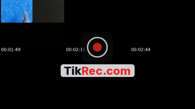 @kenaza53 TikTok live