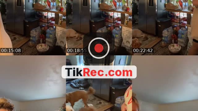 TikTok live: It’s my Birthday 🍰🍒😘☀️ by @littlelulus123