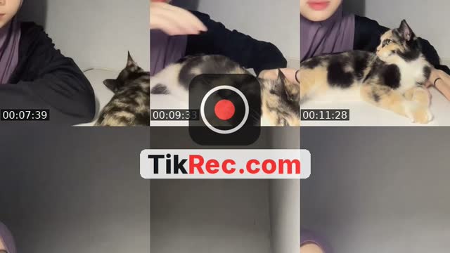 @hailnaa TikTok live from 2026-09-05
