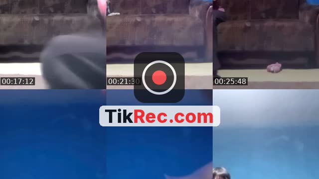 @tamaramladenovski0 TikTok live from 2026-09-05