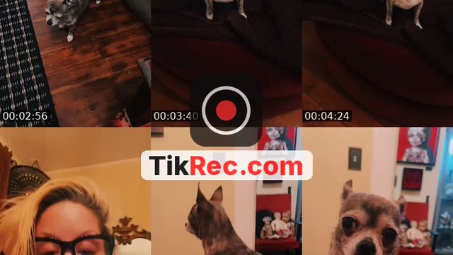 @sewntogether19 TikTok live from 2026-09-06
