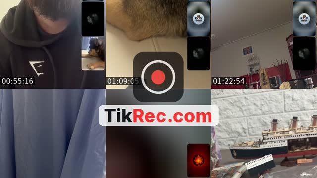 @bree.cartoons TikTok live from 2026-09-06