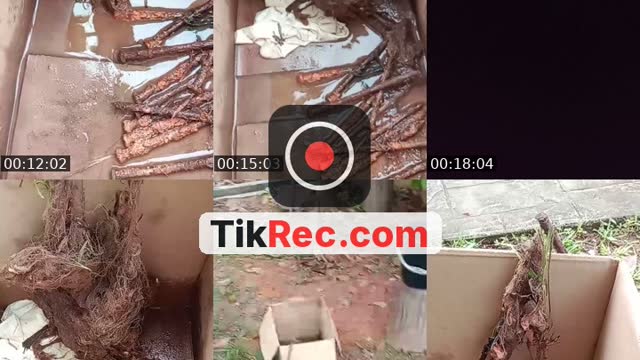 TikTok live: Live metar jah by @aliffhaikal2860