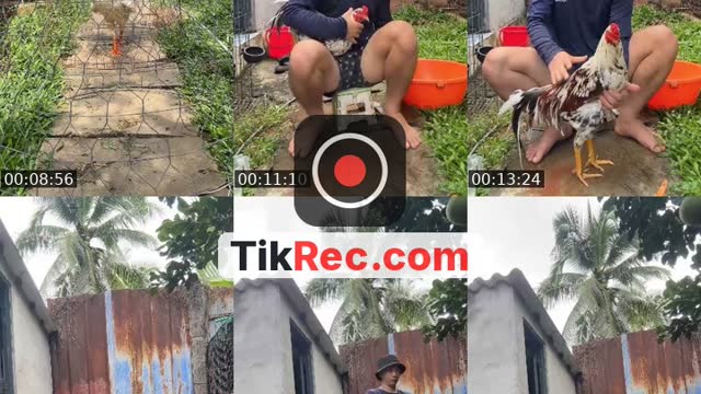 @tuyen717171 TikTok live