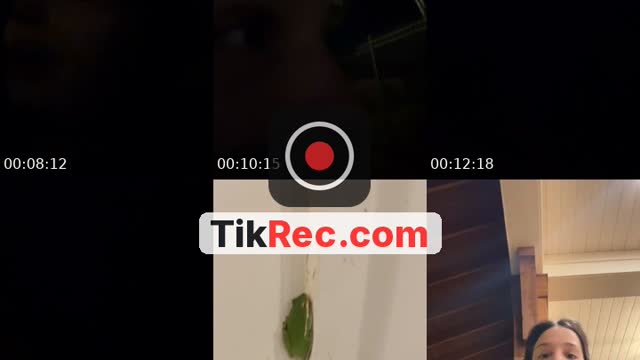 @bubbaussygussiesm TikTok live from 2026-10-02