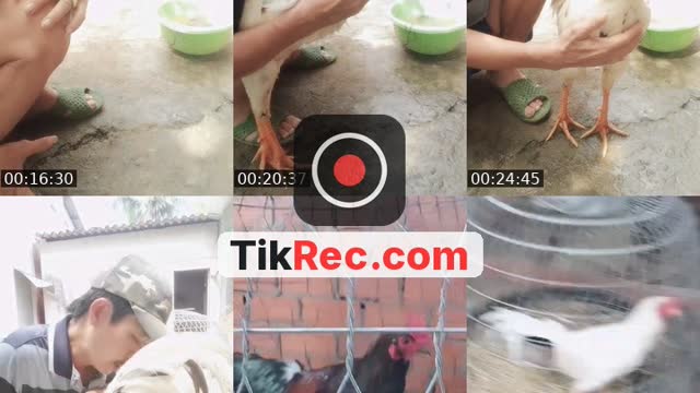 rất vui khi được gặp ae ở đây - @vinh.vui.v78