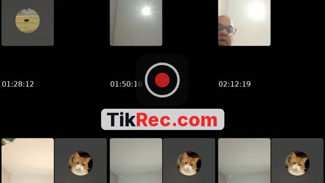 TikTok live: chill live i ran by @trolloftrolls6
