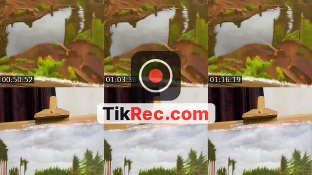 @ibrahimalaliartist TikTok live from 2026-10-02