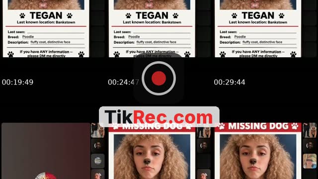 @fuckupcunt2 TikTok live from 2026-10-03