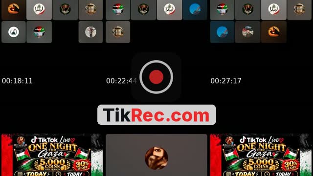 TikTok live: 🇵🇸 Come in  Support Gaza 🇵🇸 by @crystalcastles24
