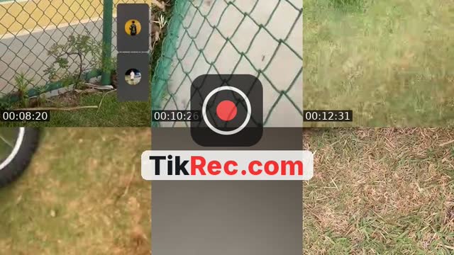 @felipinhod10 TikTok live