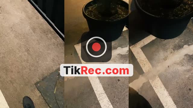 @big.s465 TikTok live from 2026-10-03