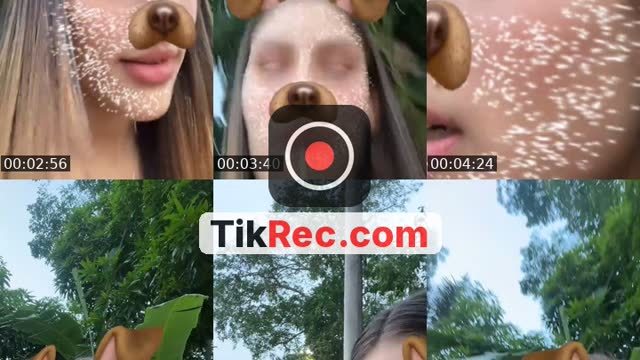 @offaryane TikTok live