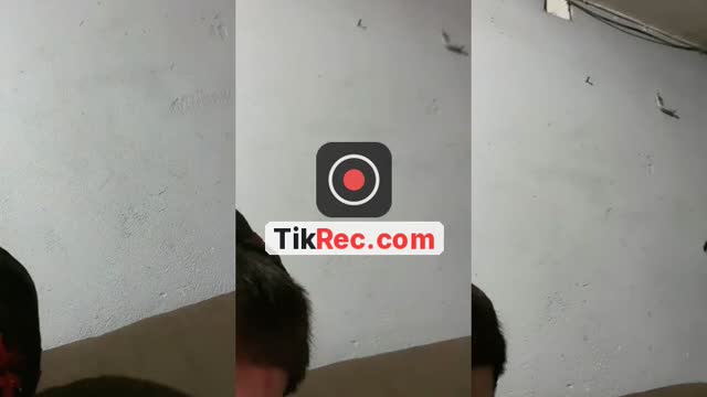 @spoky_20k TikTok live