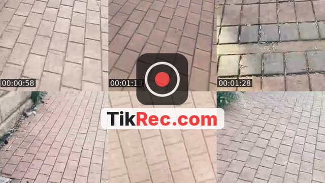 @warona2017 TikTok live