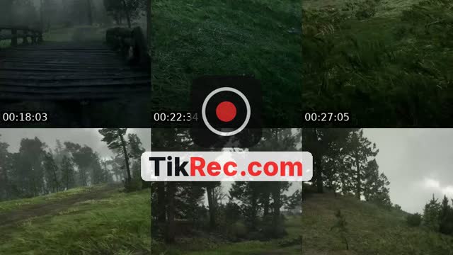 @lazycryzy TikTok live from 2026-10-03