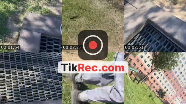 TikTok live: Steal an egg by @binekk4