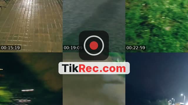 TikTok live: criaturas luminosas by @locofeliz77