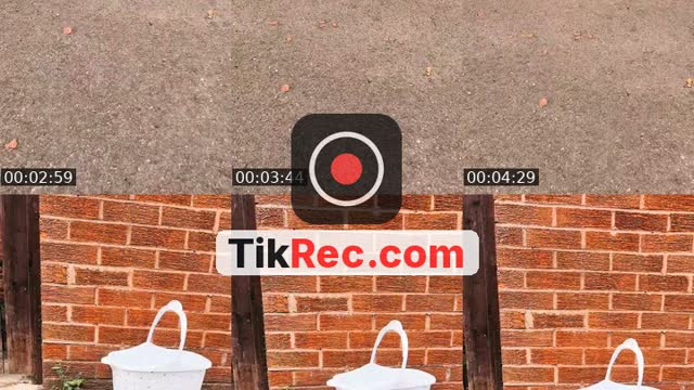 @zacfrankietricks TikTok live